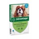 Advantage No. 100 loppemiddel til hunde (4 - 10 kg)