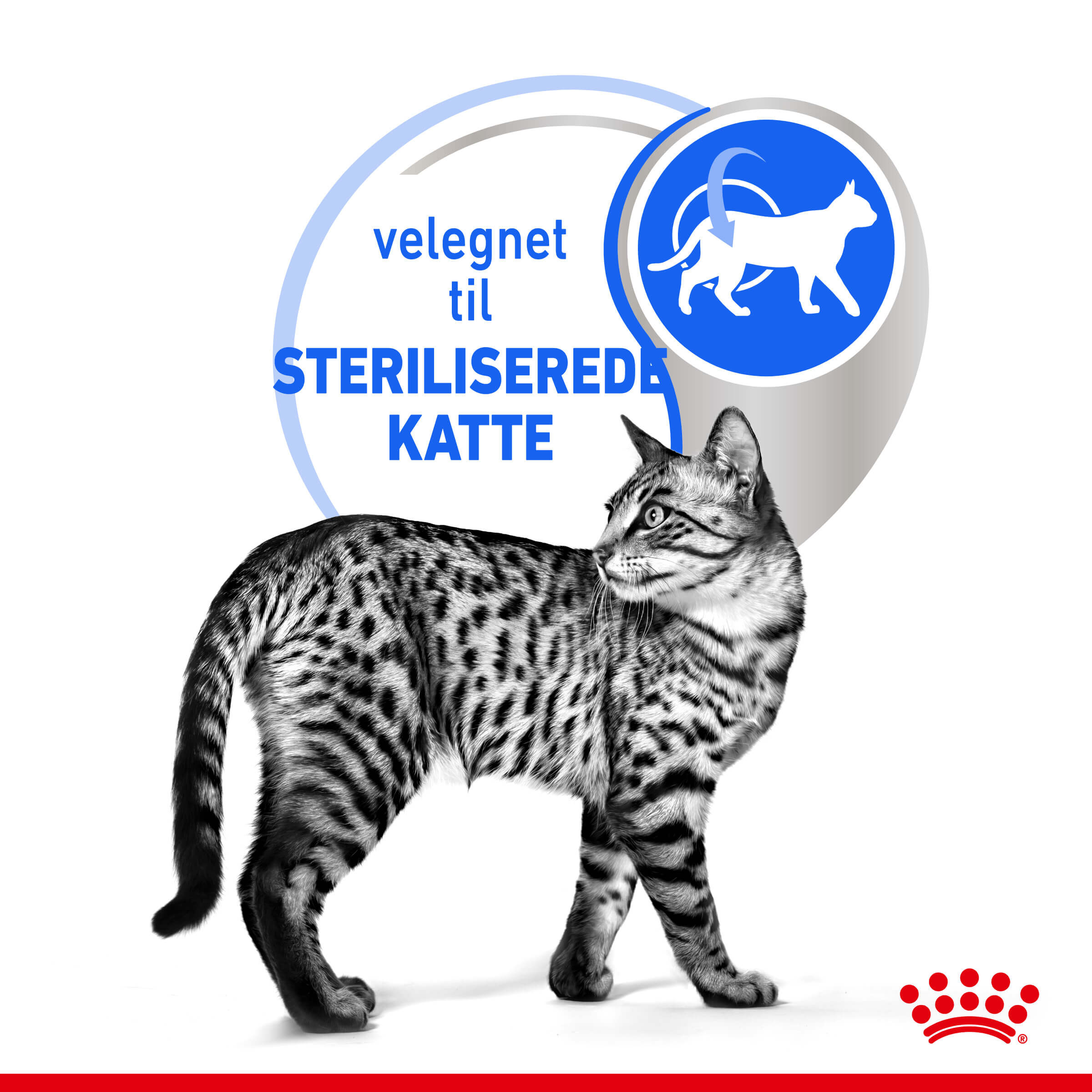 Royal Canin Indoor 7+ Sterilised kattenvoer x12