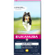 Eukanuba Adult (Large) kylling kornfrit hundefoder