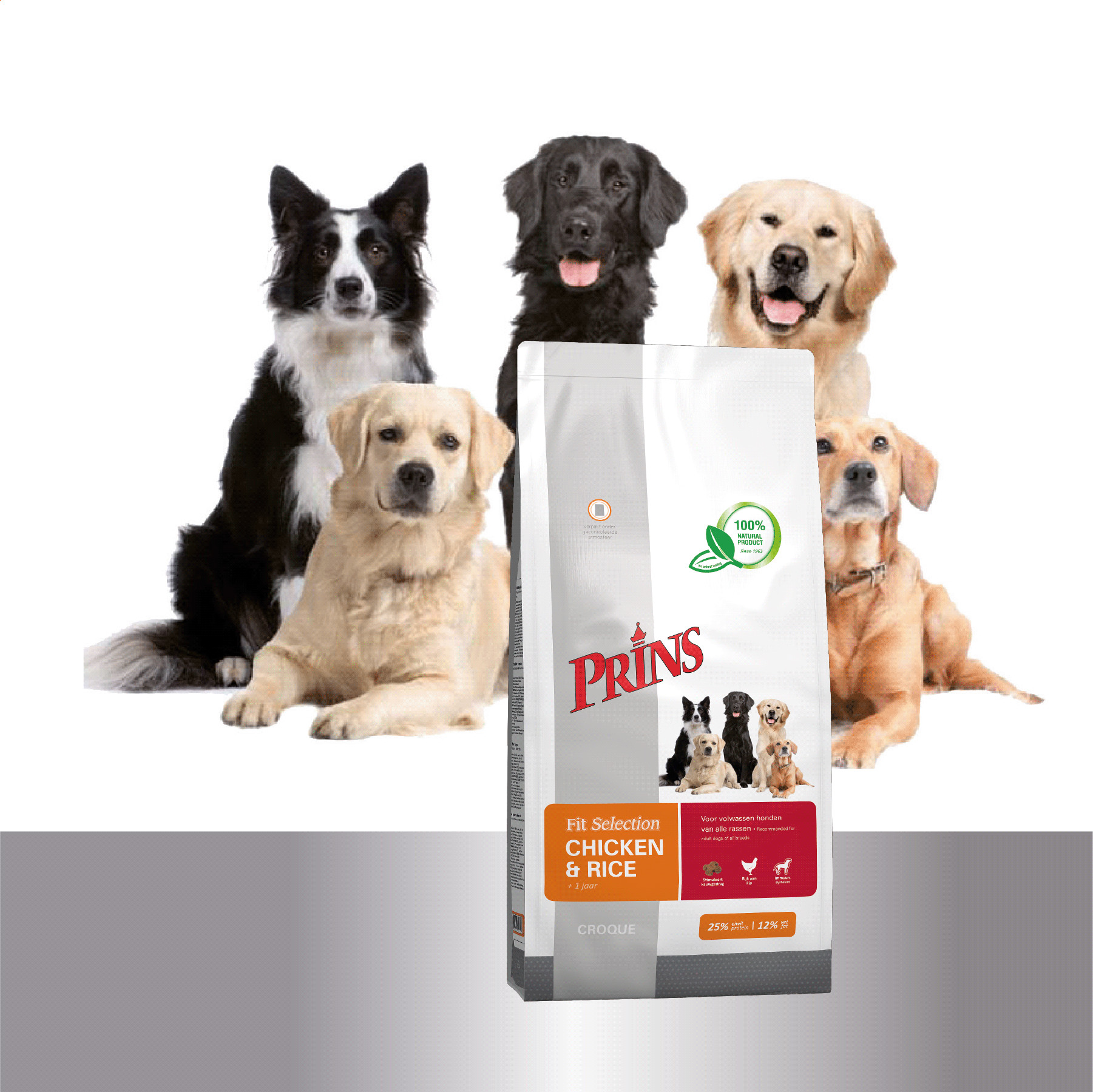 Prins Fit Selection kylling og ris hundefoder