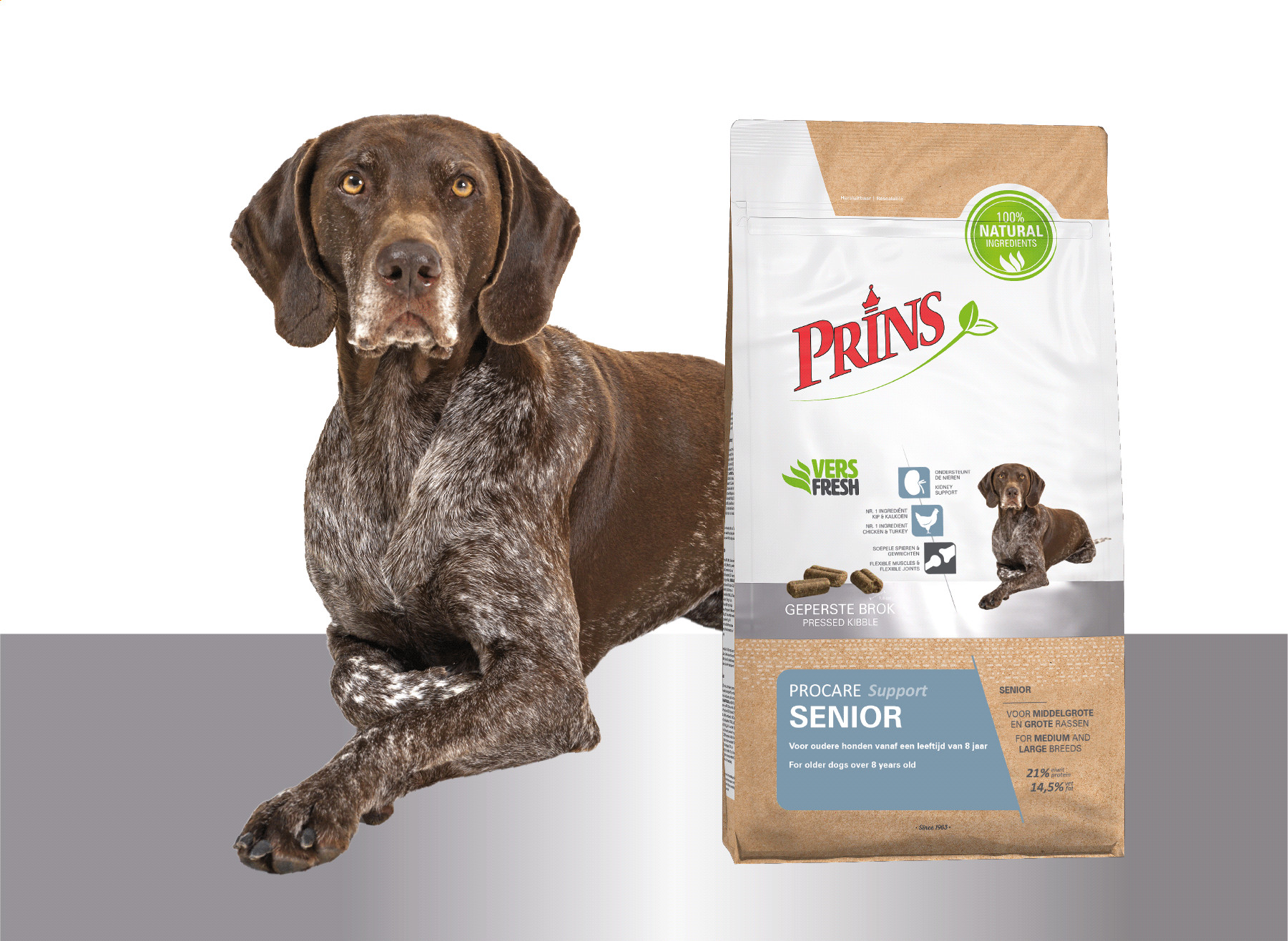 Prins ProCare Senior Support hundefoder