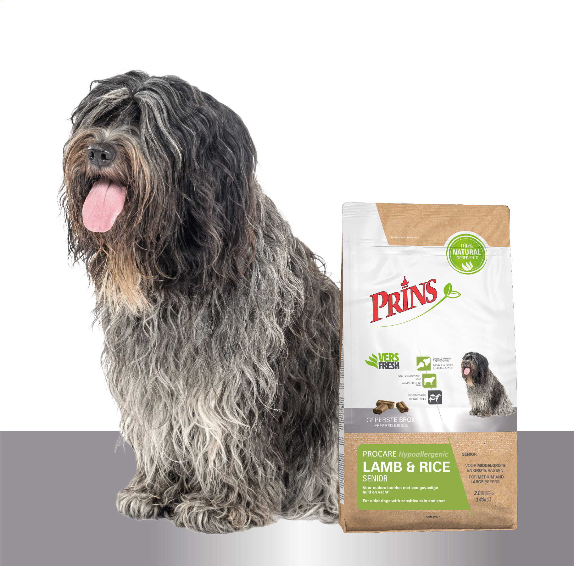 Prins ProCare Senior Hypoallergenic med lam og ris hundefoder