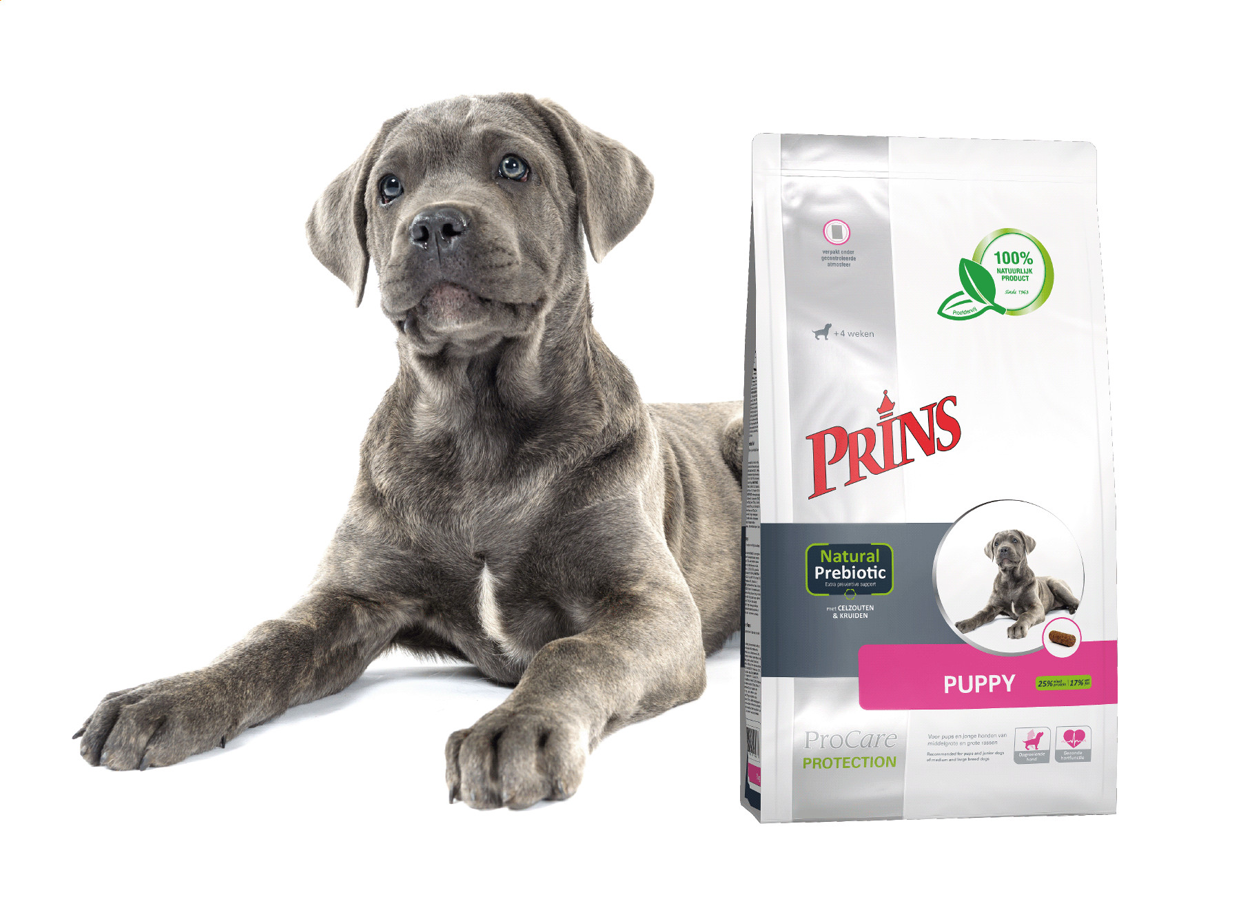 Prins ProCare Protection Puppy hundefoder