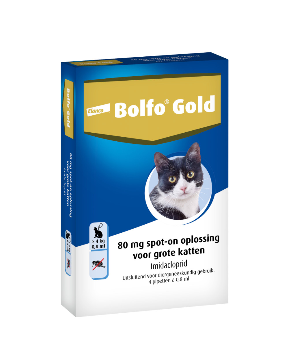 Bolfo Gold 80 kat vlooiendruppels