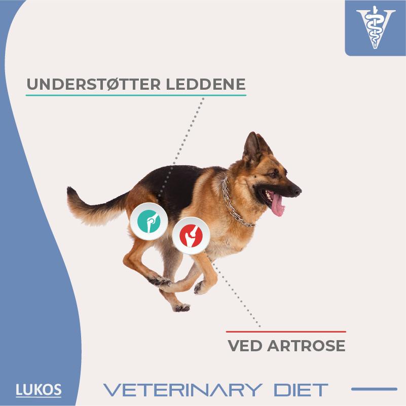 Lukos Veterinary Diet Joint & Mobility hondenvoer