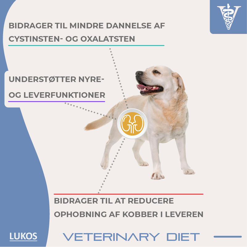 Lukos Veterinary Diet Renal hondenvoer