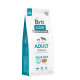 Brit Care Adult kornfri hundefoder