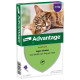 Advantage No. 80 loppemiddel til katte (fra 4 kg)