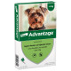 Advantage No. 40 loppemiddel til hunde (til 4 kg)