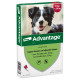 Advantage No. 250 loppemiddel til hunde (10 - 25 kg)