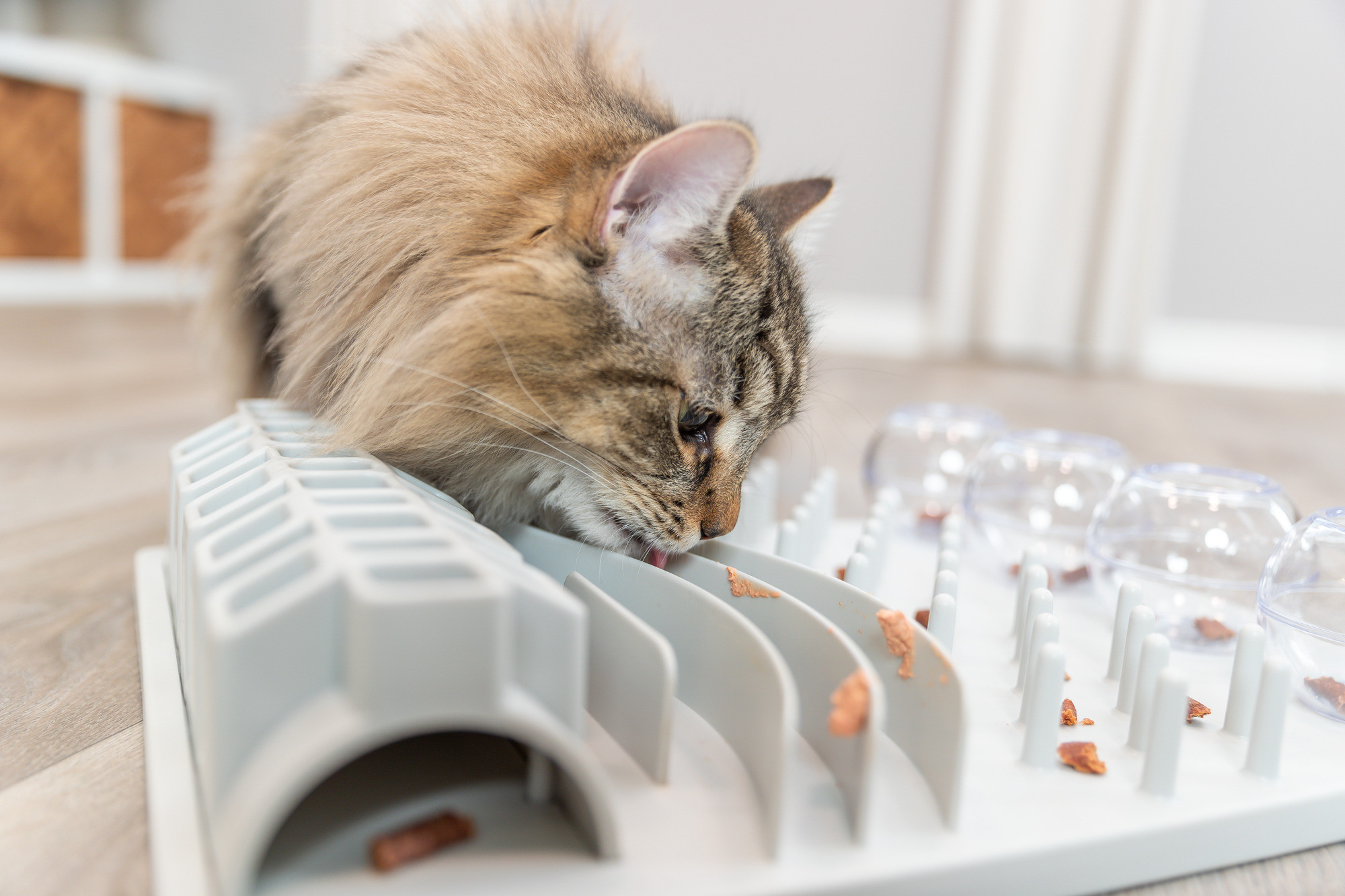 Cat Activity Fun Board XXL voor de kat